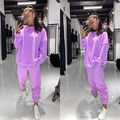 Жіночий спортивний костюм модний колір фіалка 0185, Колір: Фіалка, Розмір: s-m, фото 