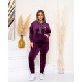 Женский спортивный костюм велюровый большого размера бордовый 21030, Цвет: Бордовый, Размер: 52-54 UKR, фото 