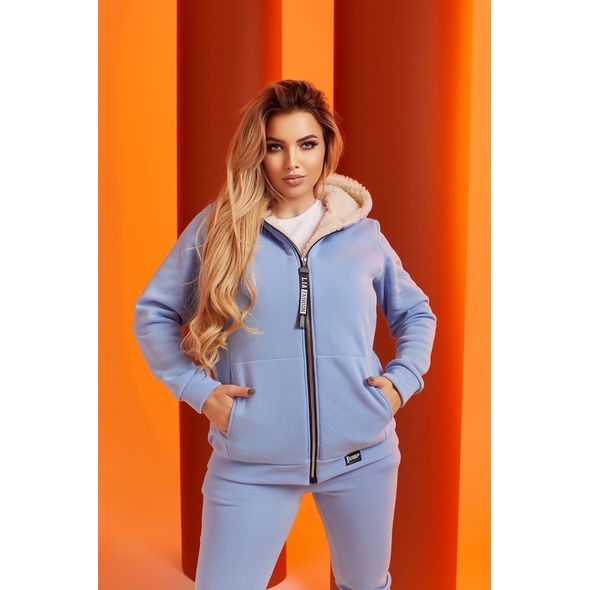 Жіночий спортивний костюм теплий кофта на блискавці і штани блакитний 1046, Колір: Блакитний, Розмір: 48-50, фото , зображення 3