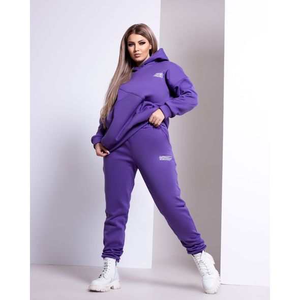 Женский спортивный костюм большого размера цвет фиолетовый 1049, Цвет: Фиолетовый, Размер: 48-50 UKR, фото 