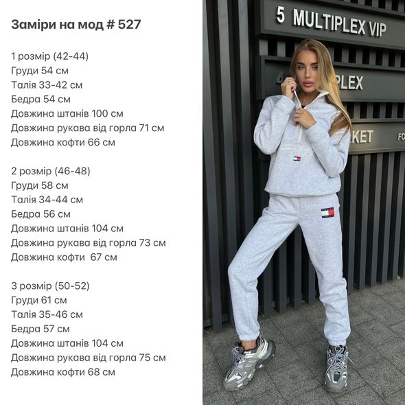 Женский спортивный костюм серый кофта и штаны 527, Цвет: Серый, Размер: 50-52 UKR, фото 